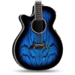 Lefthanded Acoustic Guitars