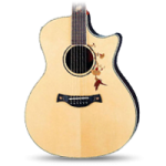 Electroacoustic Guitars