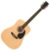 ENCORE EWP-100N Acoustic Guitar Set