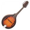 PILGRIM VPMA-50AV Mandolin PILGRIM VPMA-50AV Mandolin