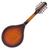 PILGRIM VPMA-50AV Mandolin PILGRIM VPMA-50AV Mandolin
