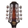 PILGRIM VPMA-50AV Mandolin PILGRIM VPMA-50AV Mandolin