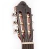 SANTOS MARTINEZ SM-250CE E-Studio Electroclassical Guitar 4/4 Size SANTOS MARTINEZ SM-250CE E-Studio Electroclassical Guitar 4/4 Size
