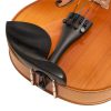 CASCHA HH-2134 Βιολί 1/2 Σετ CASCHA HH-2134 Βιολί 1/2 Σετ