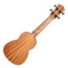 CASCHA HH-2602 Art Series Leafy Soprano Ukulele - Σοπράνο Γιουκαλίλι CASCHA HH-2602 Art Series Leafy Soprano Ukulele - Σοπράνο Γιουκαλίλι