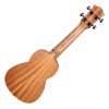 CASCHA HH-2600 Art Series Urban Soprano Ukulele - Σοπράνο Γιουκαλίλι CASCHA HH-2600 Art Series Urban Soprano Ukulele - Σοπράνο Γιουκαλίλι