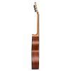 CASCHA CGC-200 Classical Guitar CASCHA CGC-200 Classical Guitar