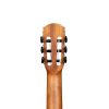 CASCHA CGC-200 Classical Guitar CASCHA CGC-200 Classical Guitar