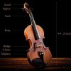 EASTAR EB-0221 Μαθητικό Βιολί 4/4 Σετ