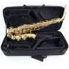 TREVOR JAMES 3730G The Horn Σαξόφωνο Άλτο TREVOR JAMES 3730G The Horn Σαξόφωνο Άλτο