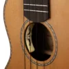 CASCHA CUT-CS1EQ Pro Ηλεκτροακουστικό Tenor Ukulele - Γιουκαλίλι με θήκη CASCHA CUT-CS1EQ Pro Ηλεκτροακουστικό Tenor Ukulele - Γιουκαλίλι με θήκη