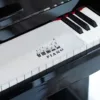 KINSMAN KPC-S5 Κάλυμμα Πληκτρολογίου Πιάνου KINSMAN KPC-S5 Κάλυμμα Πληκτρολογίου Πιάνου