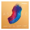 DADDARIO A310 4/4M Ascente Σετ Χορδές Βιολιού 4/4 DADDARIO A310 4/4M Ascente Σετ Χορδές Βιολιού 4/4
